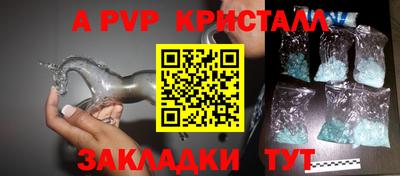 гидра Будённовск
